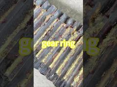 See Why Choose Q235 Alloys Ring Gear Parts for Aquatic Feed Grinding Machine