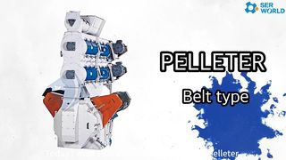 PELLETER Belt type